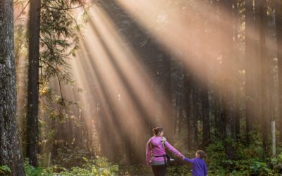Why Forest Bathing Has Huge Benefits for Families