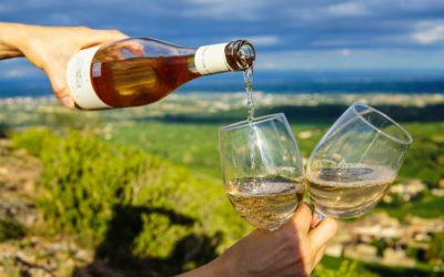 Occitanie, France – the Perfect Holiday Destination for Children with Wine-Loving Parents