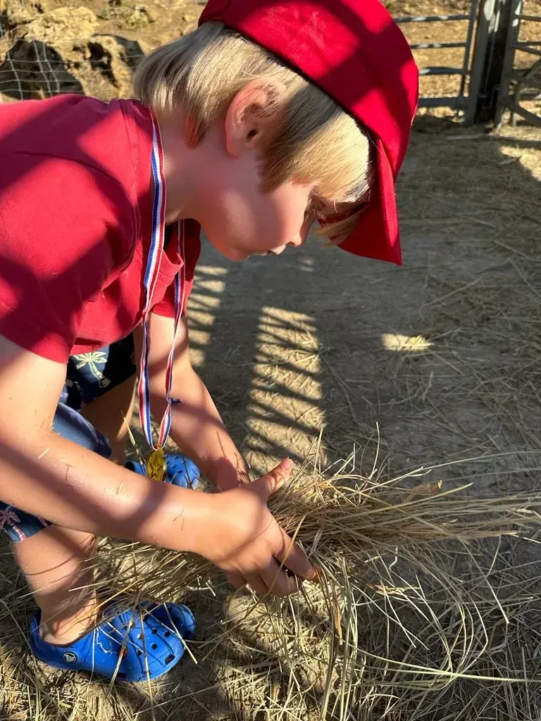 the experience - family holidays in south of France