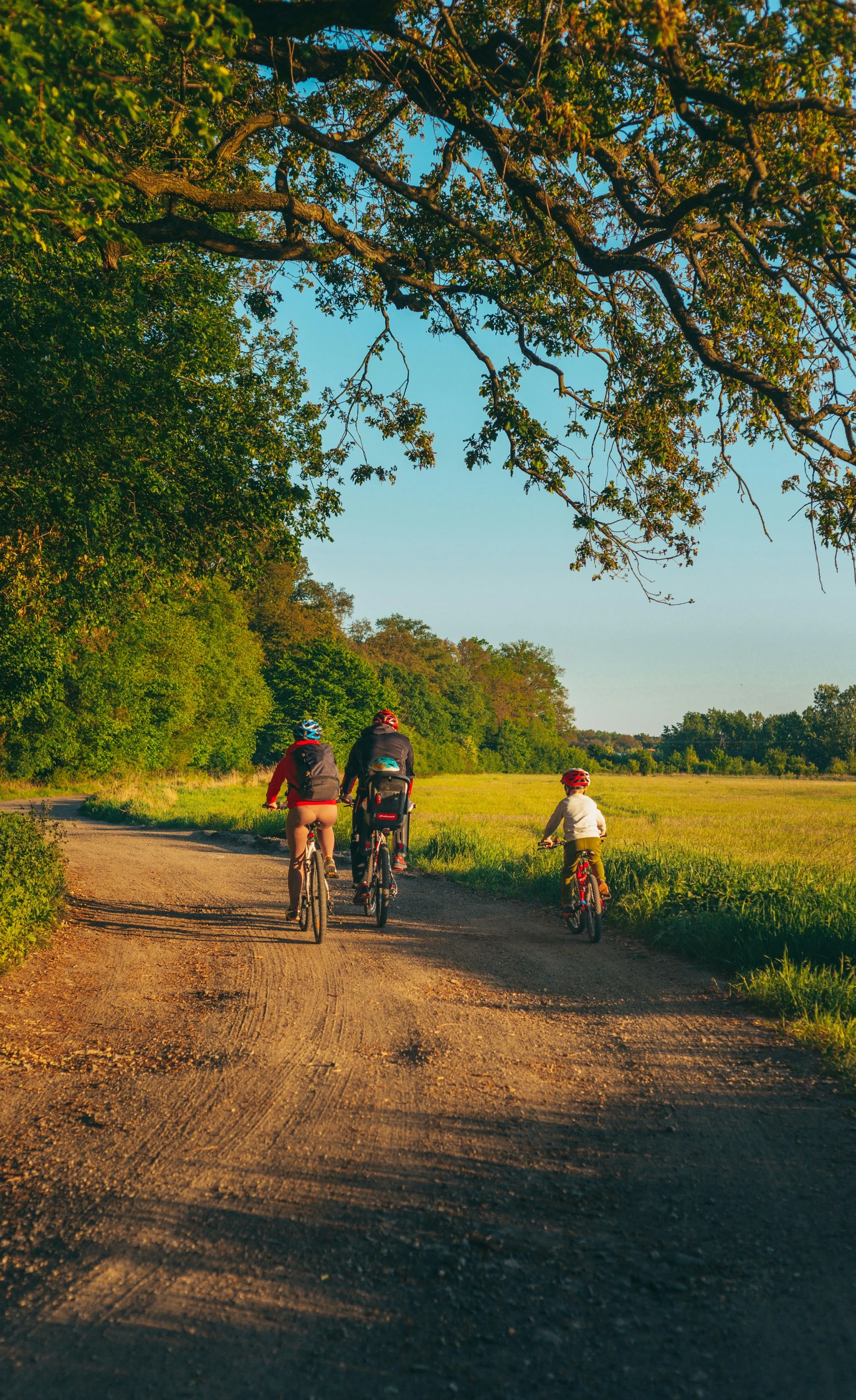 Family biking on a sunny dirt path