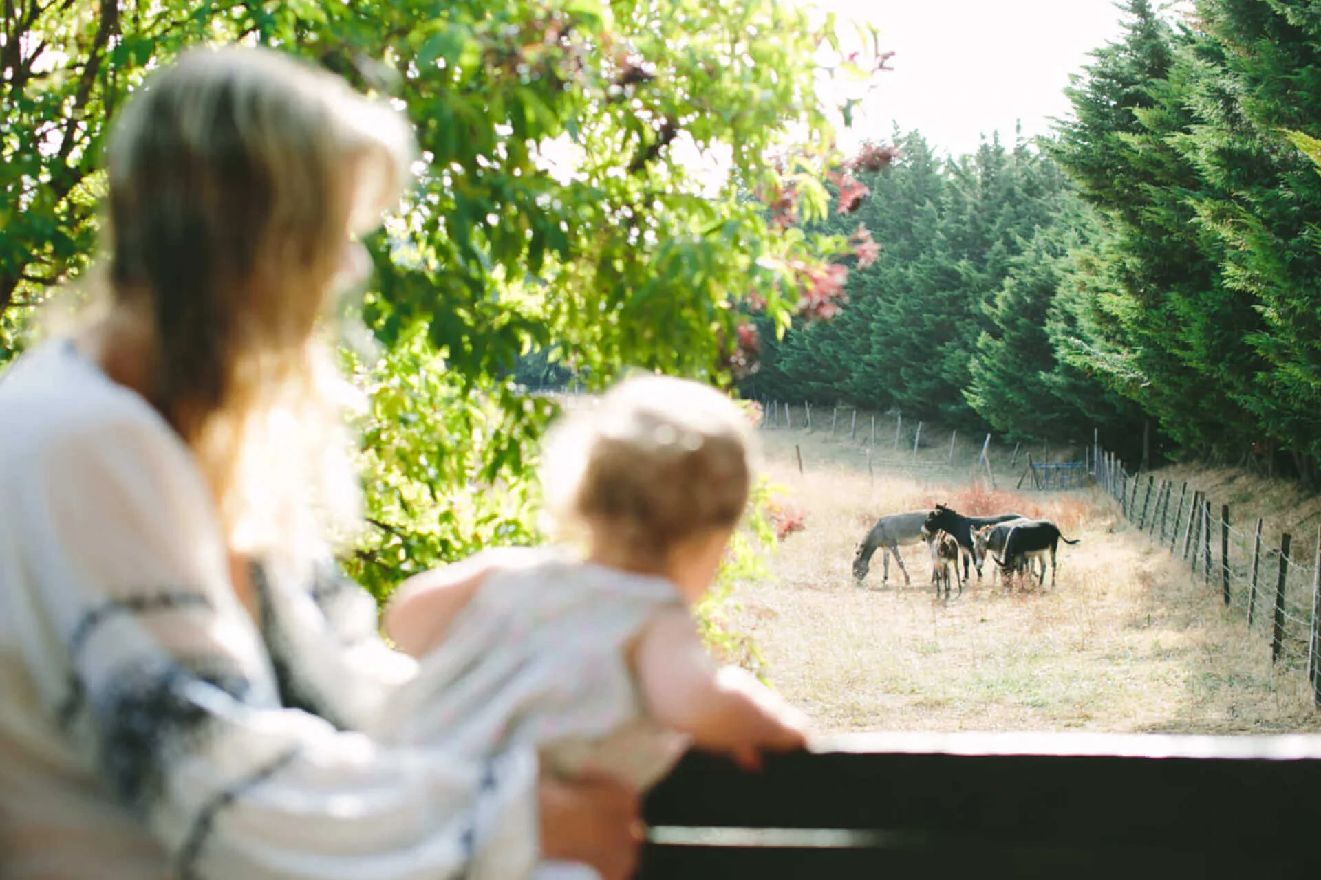 Woman and child watching horses in a field.