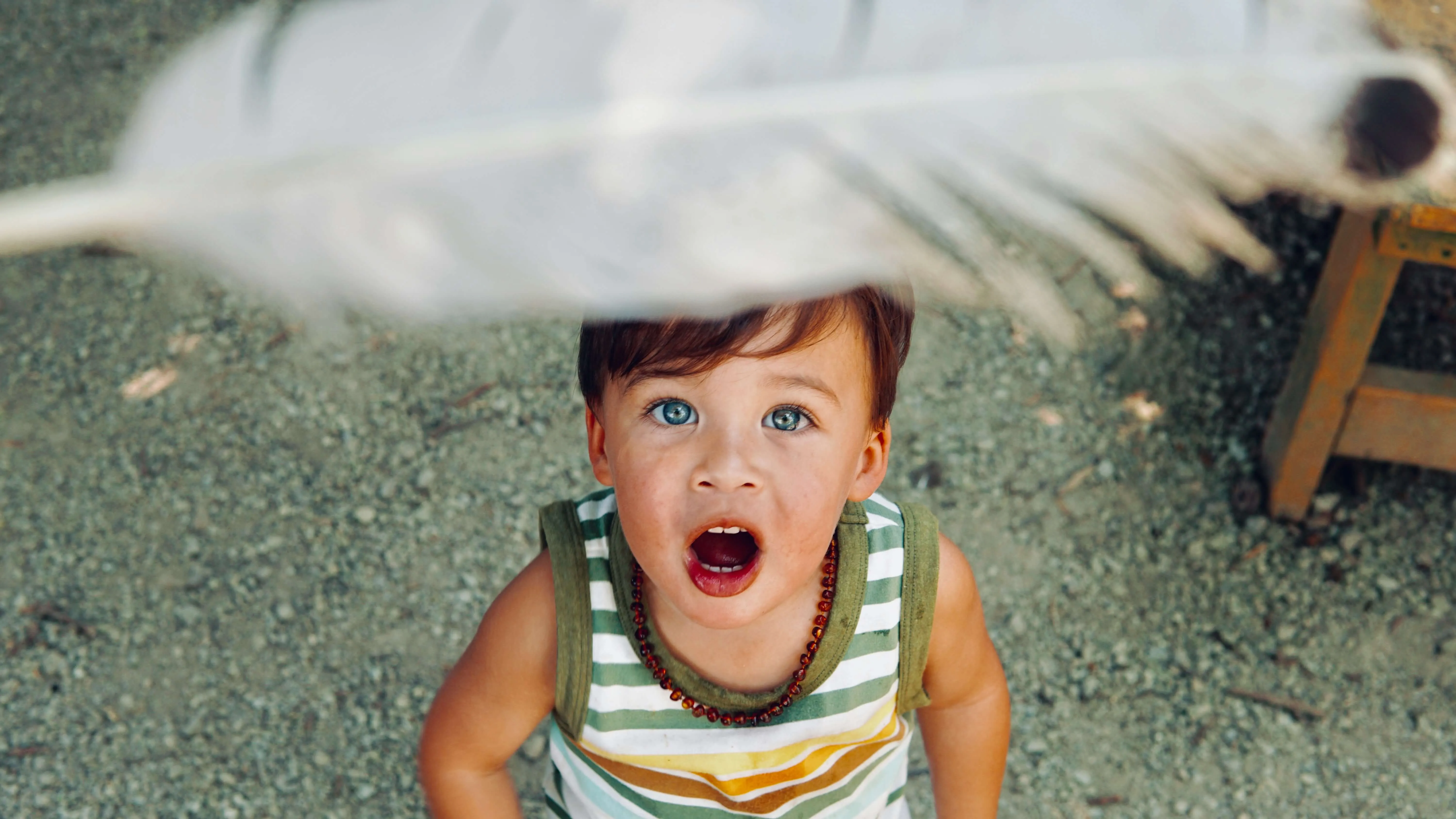 Child amazed by a floating feather above.
