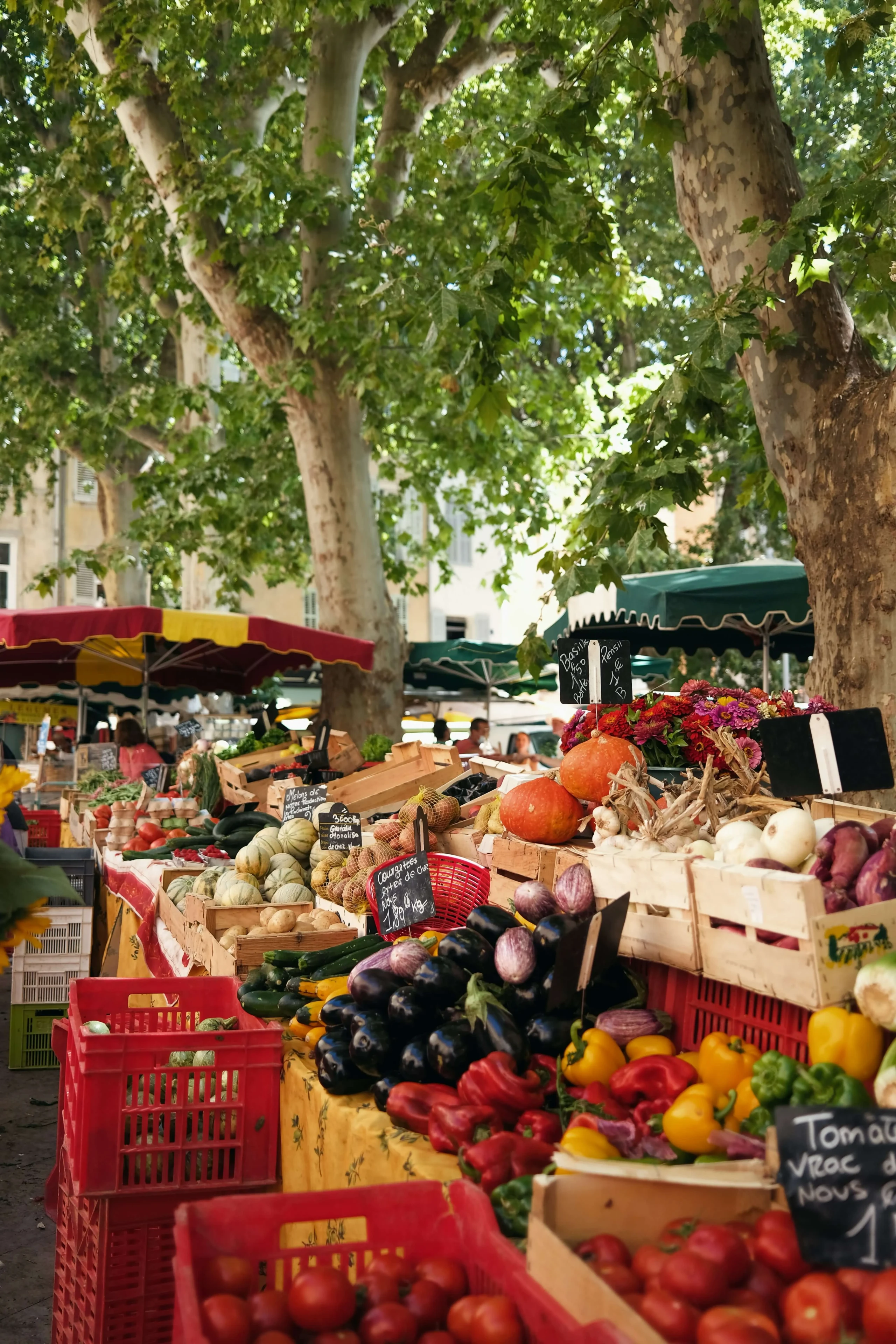 Colorful farmers market with fresh vegetables and fruits.
