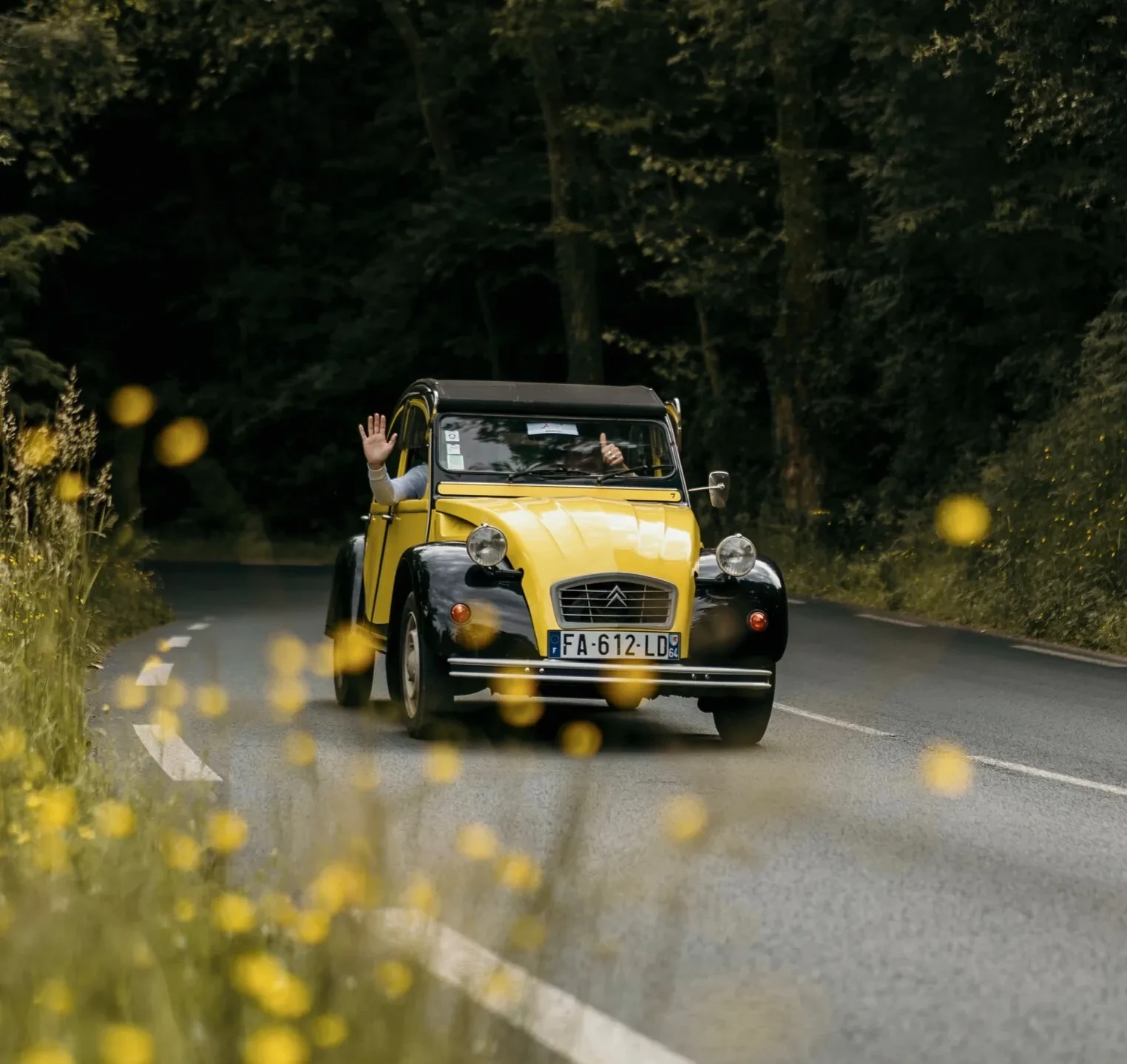 country-kids-contact-auto-the-experience-family-holidays-in-south-of-france-country-kids