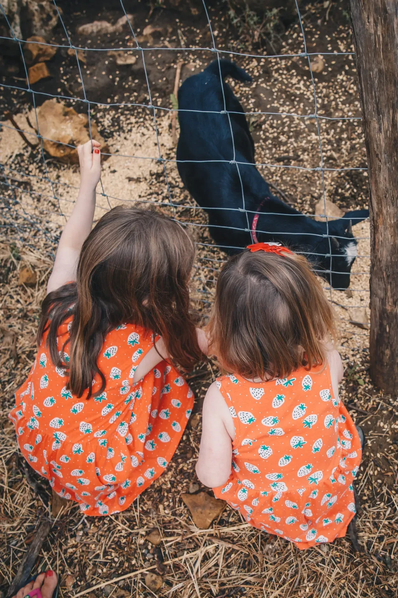 d-scaled - for the kids - child friendly holidays in south of France