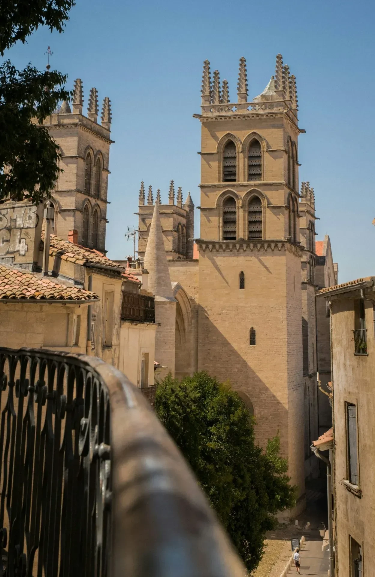 the experience - family holidays in south of France