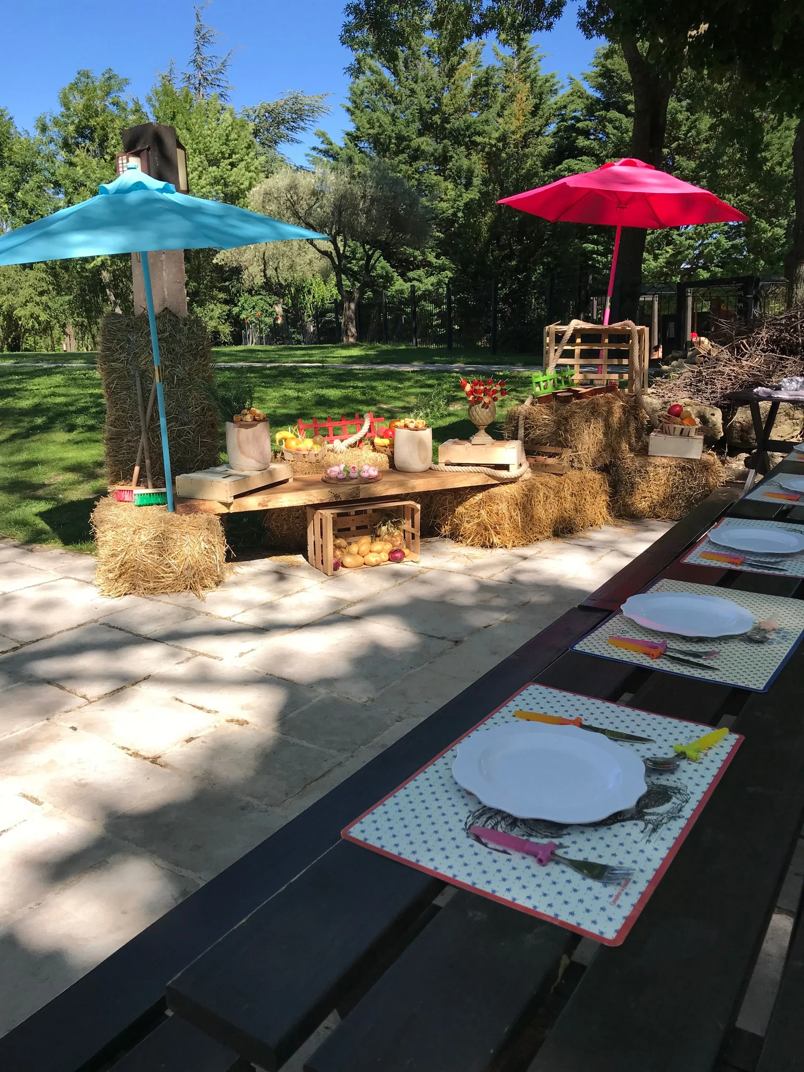 farm dinner1 for the kids catering - package holidays to south of France - Country Kids