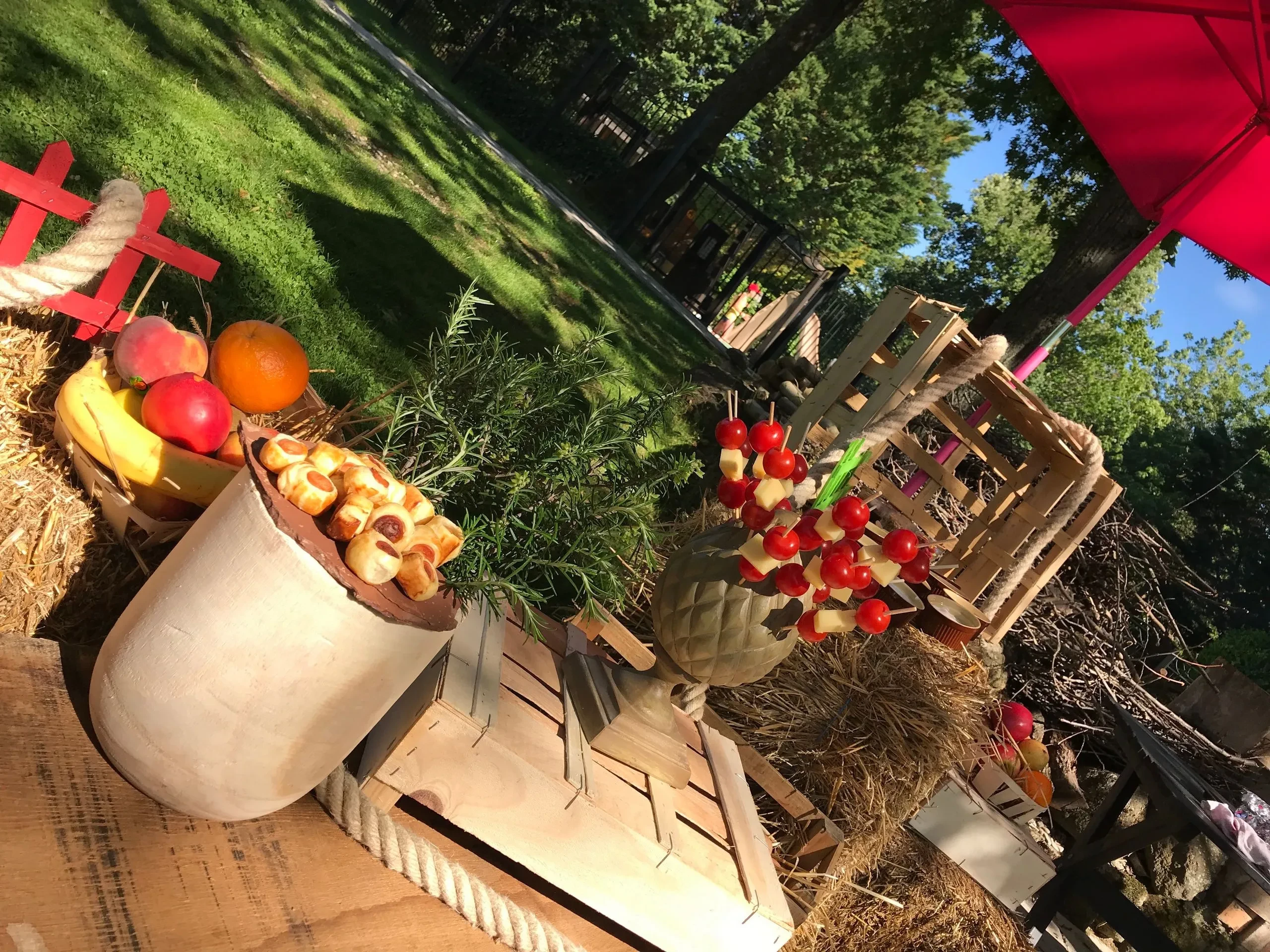 farm dinner2 for the kids catering - package holidays to south of France - Country Kids