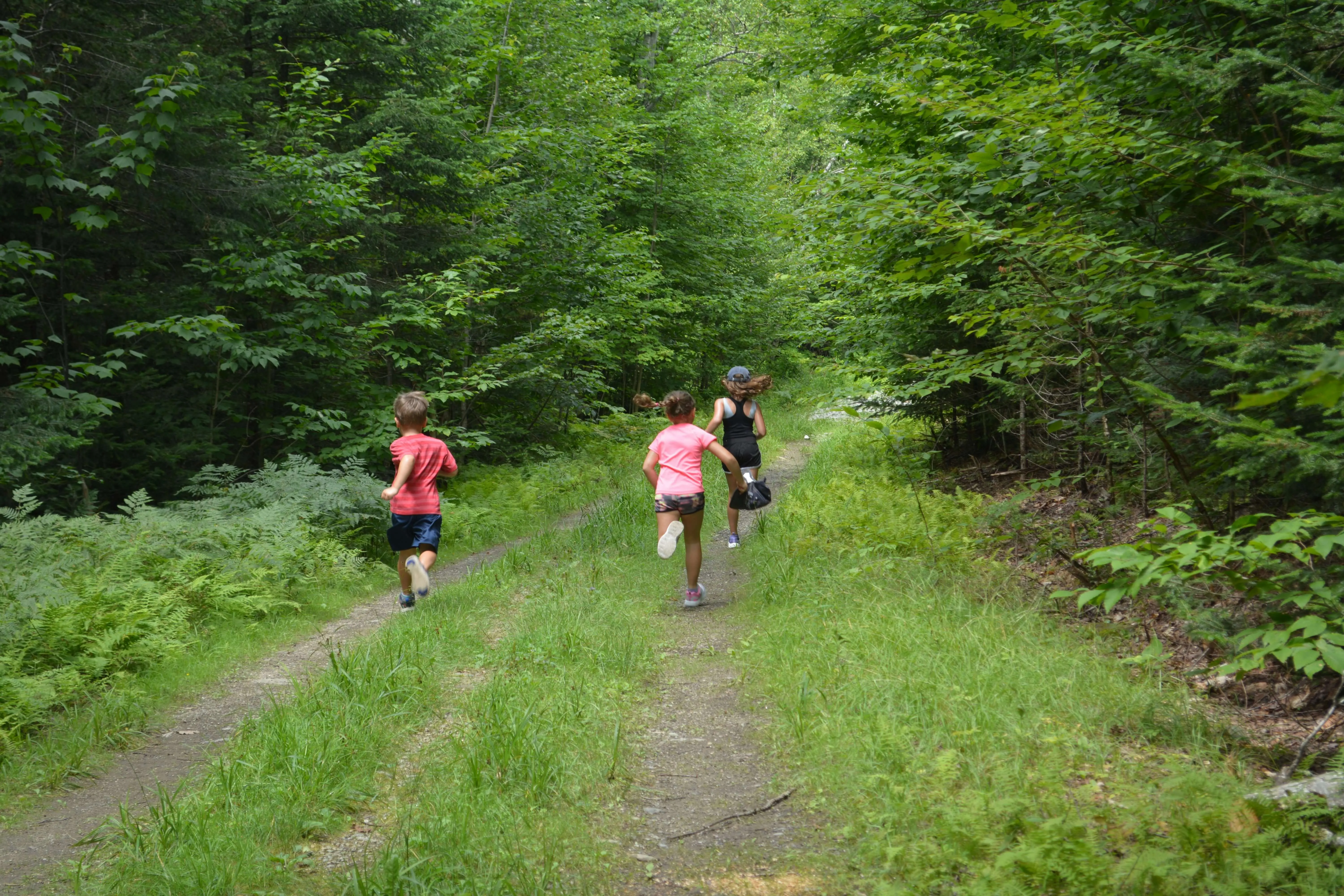 Children running on forest trail