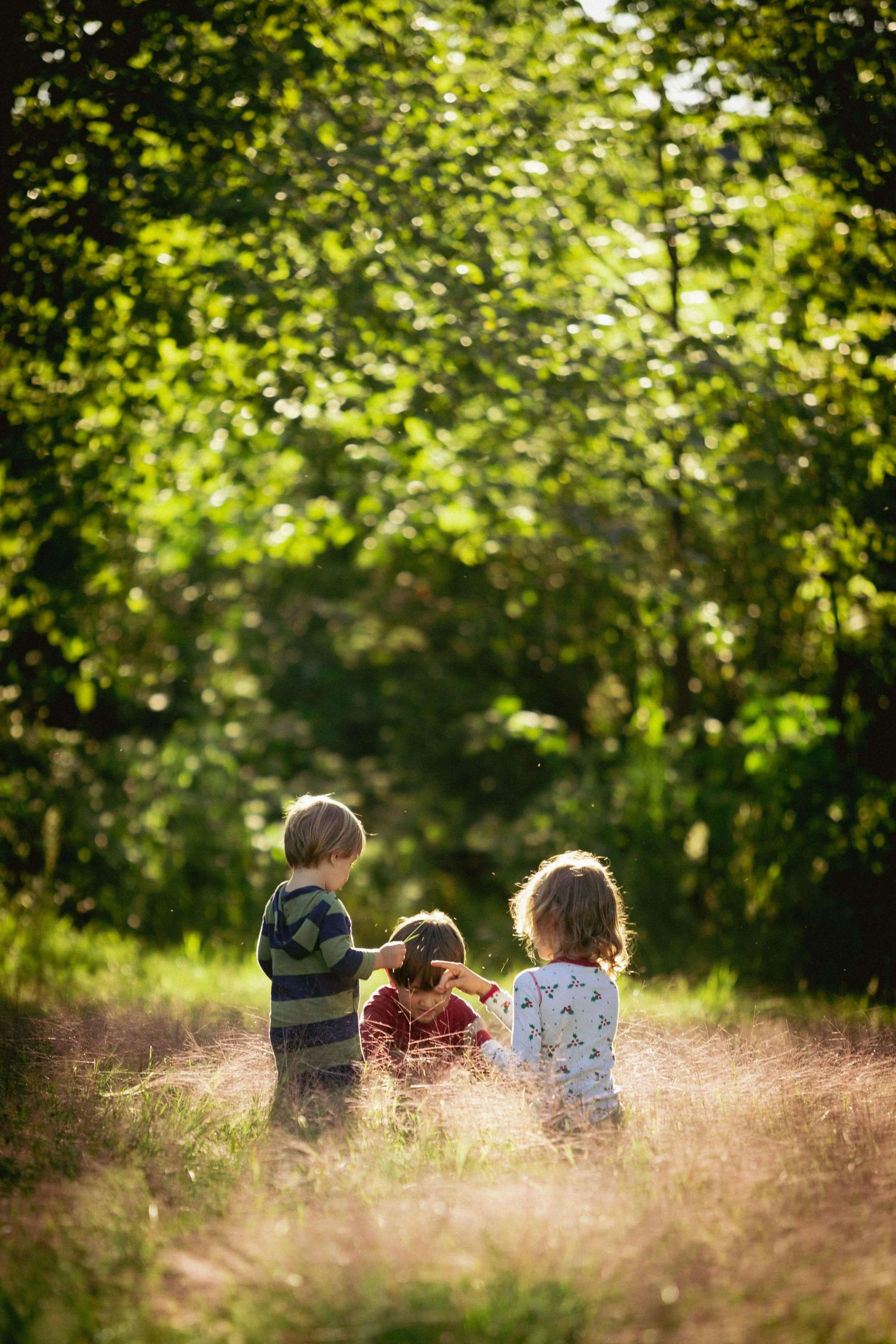 Children playing in sunny forest clearing