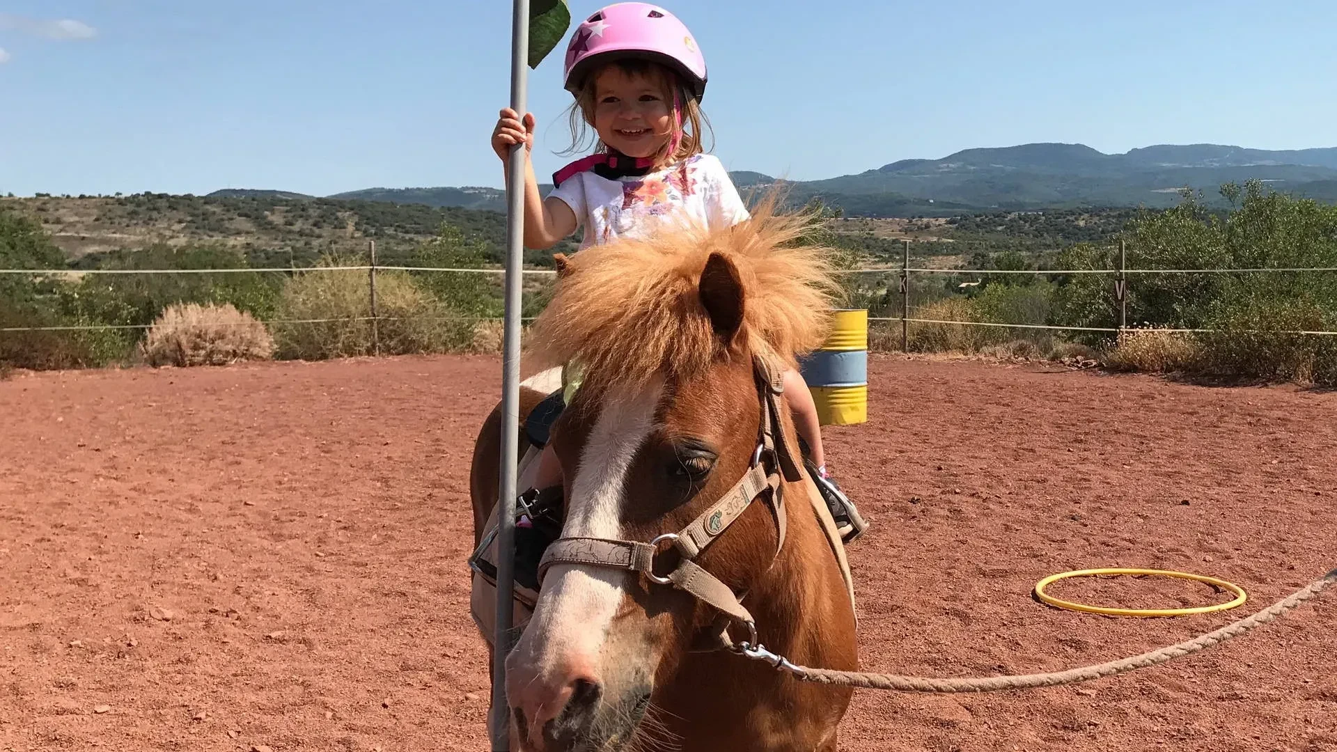 laure sylvain neveu activities ponyriding