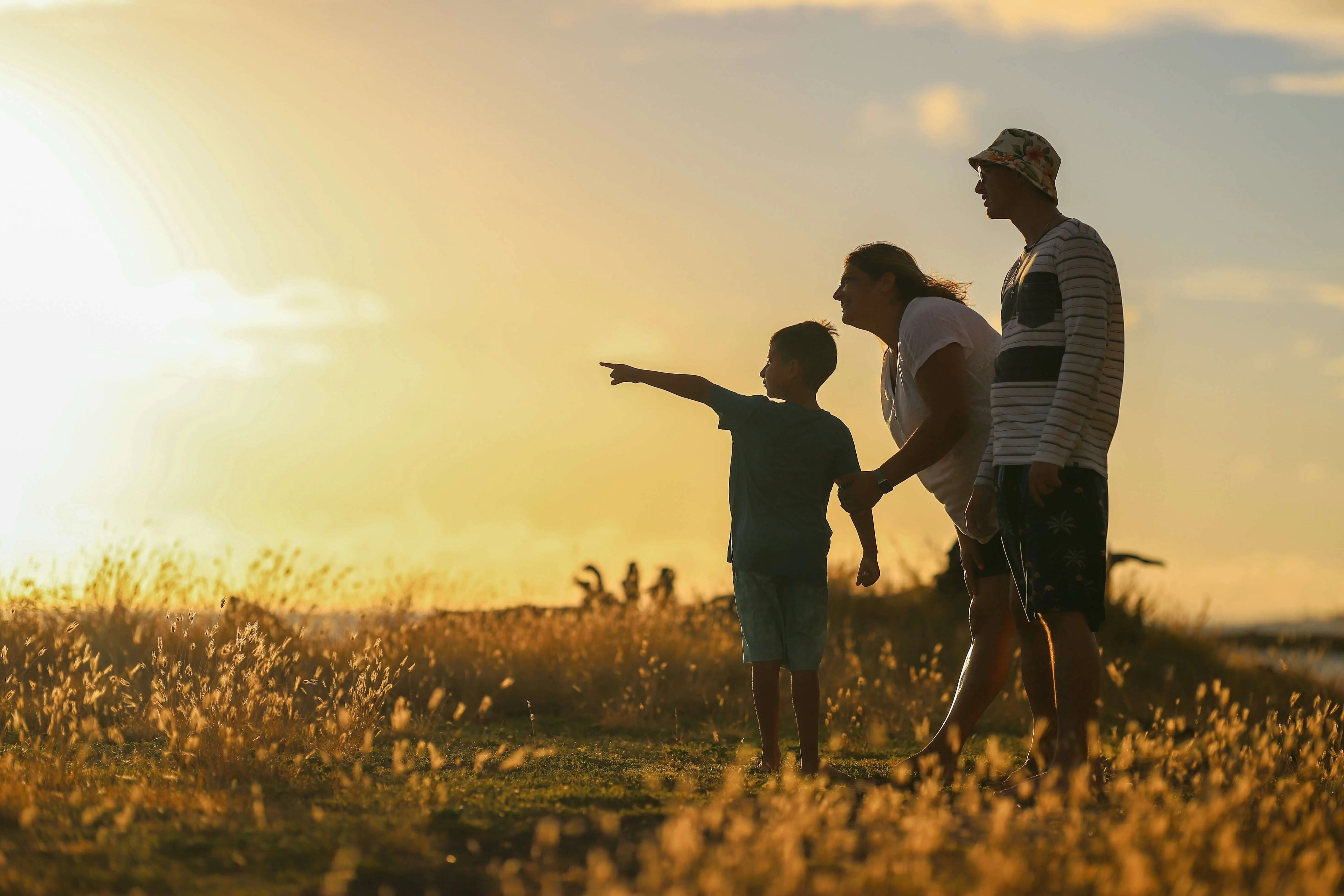 Family enjoying sunset in grassy field