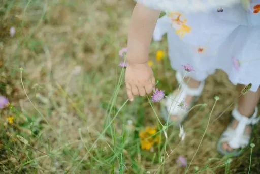 Child picking flowers in grassy field