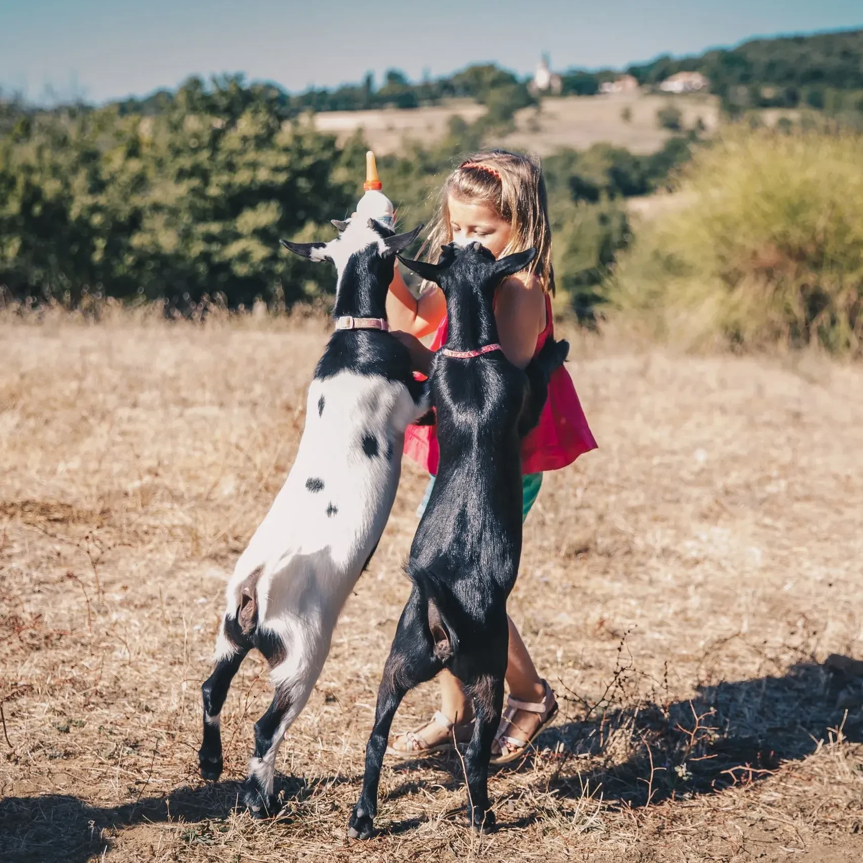 mila+soleil neige home page block package - Holidays in South of France – Country Kids