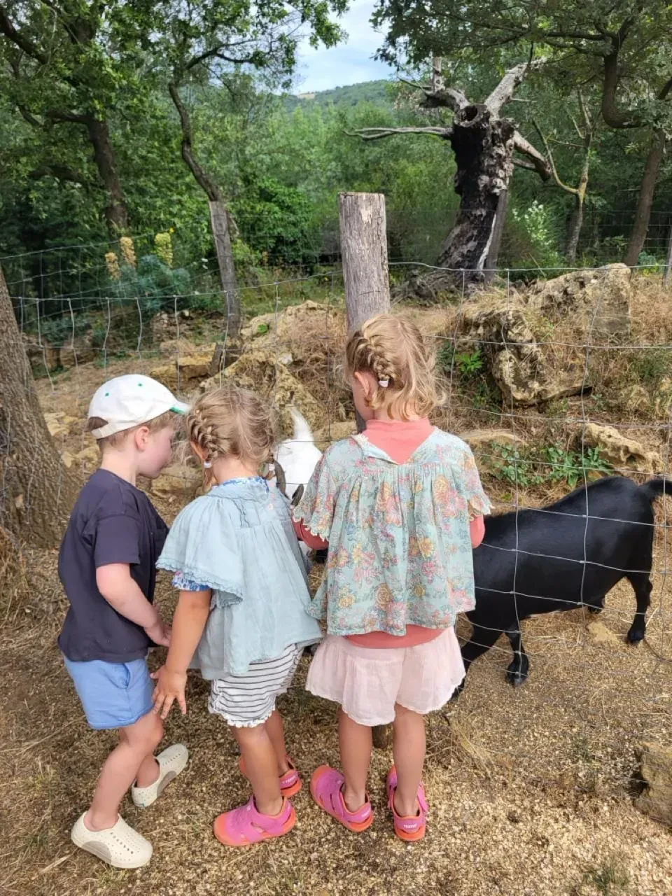 for the kids - child friendly holidays in south of France